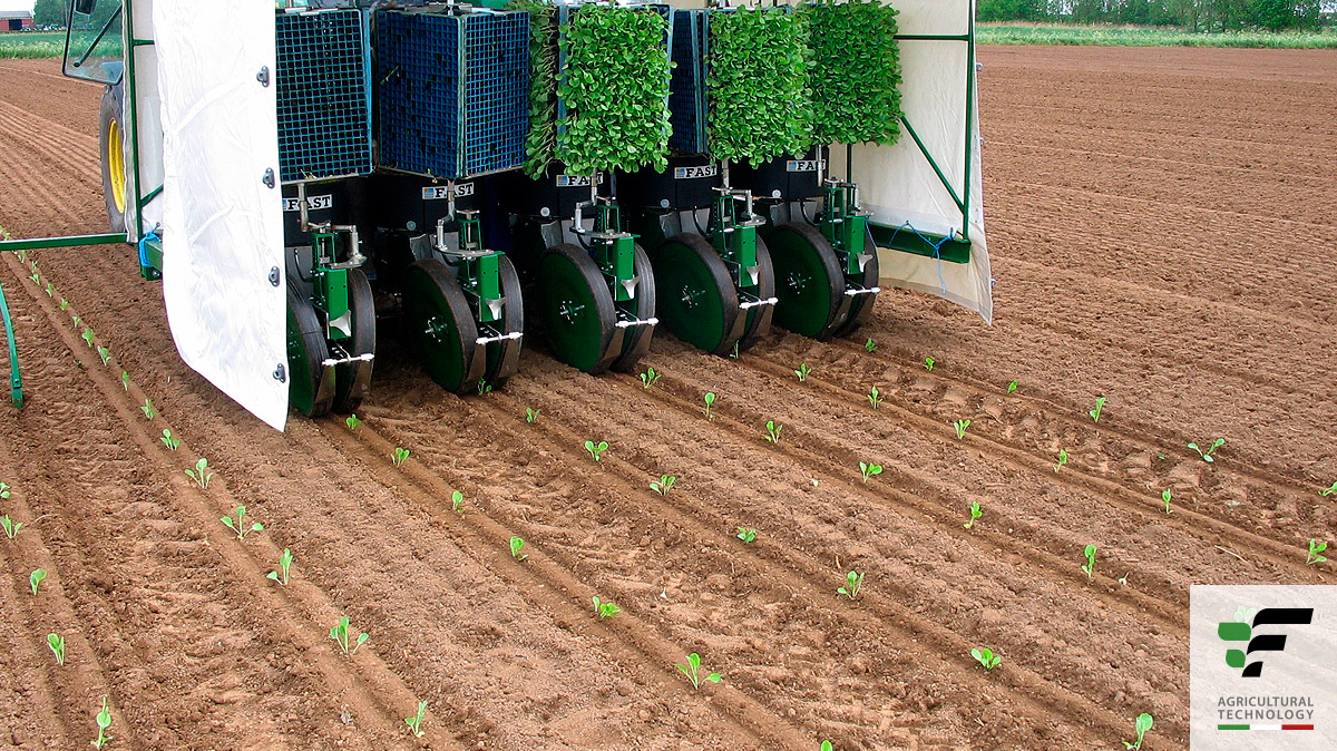 Planteuse à courroies à 4 rangs portée ou traînée